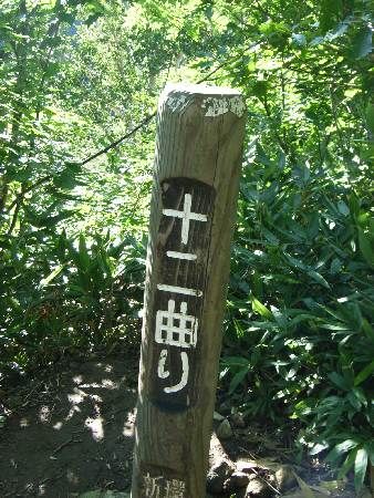 https://livedoor.blogimg.jp/yamane2019/imgs/d/b/dbc97bff.jpg