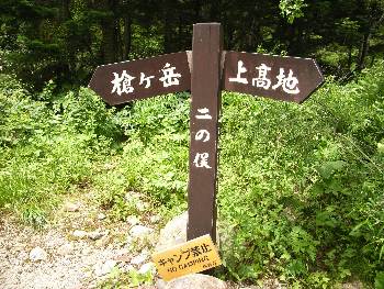 https://livedoor.blogimg.jp/yamane2019/imgs/d/b/dbd4d4f1.jpg