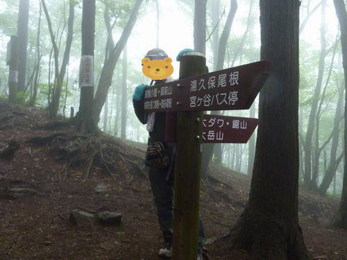 イメージ 9