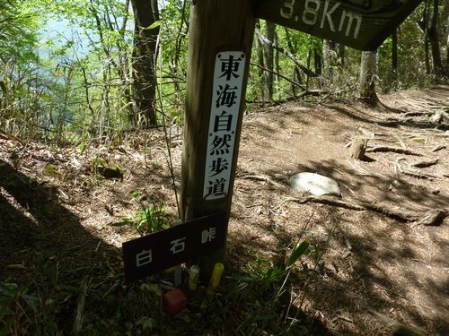 イメージ 13