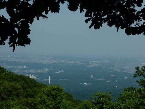 イメージ 11