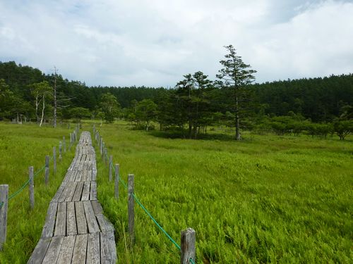 https://livedoor.blogimg.jp/yamane2019/imgs/e/1/e1ea87d3.jpg