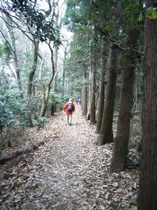 https://livedoor.blogimg.jp/yamane2019/imgs/e/2/e2f5eefd.jpg