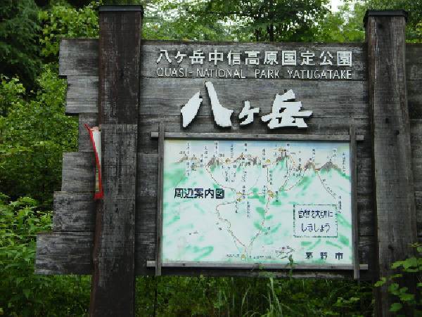 https://livedoor.blogimg.jp/yamane2019/imgs/e/3/e3cb0874.jpg