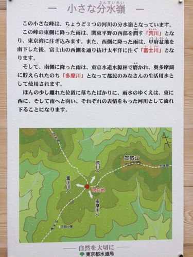 イメージ 12