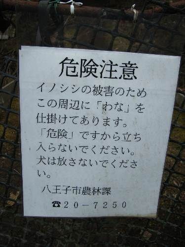 https://livedoor.blogimg.jp/yamane2019/imgs/e/7/e7d7a6dd.jpg