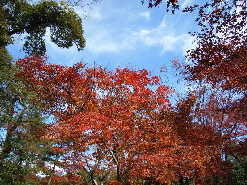 https://livedoor.blogimg.jp/yamane2019/imgs/e/7/e7f13c7b.jpg