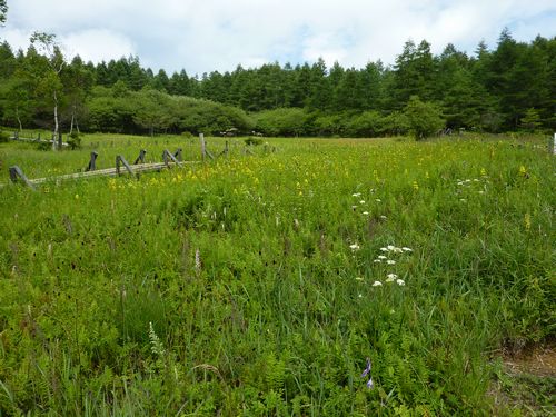 https://livedoor.blogimg.jp/yamane2019/imgs/e/b/eb0fb144.jpg