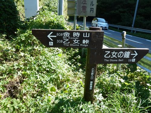 イメージ 7