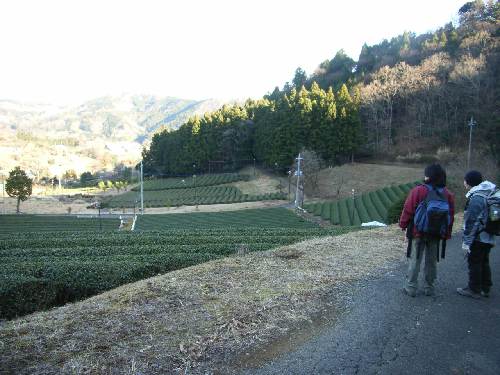 https://livedoor.blogimg.jp/yamane2019/imgs/e/e/ee7f19c0.jpg
