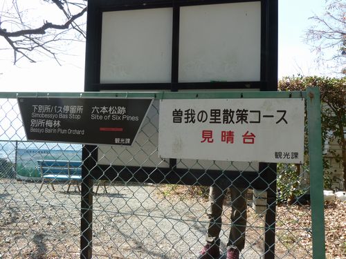 イメージ 22