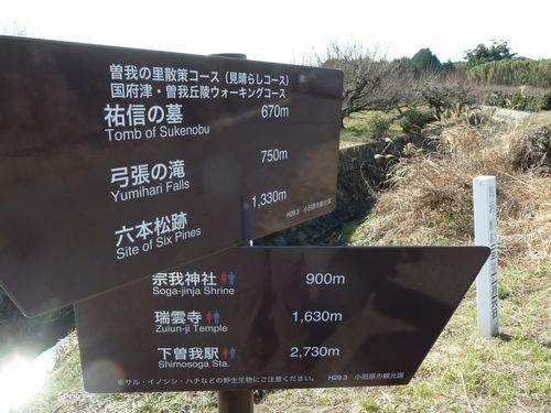 イメージ 6