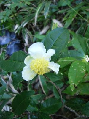 https://livedoor.blogimg.jp/yamane2019/imgs/f/1/f141589f.jpg