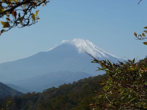 イメージ 9
