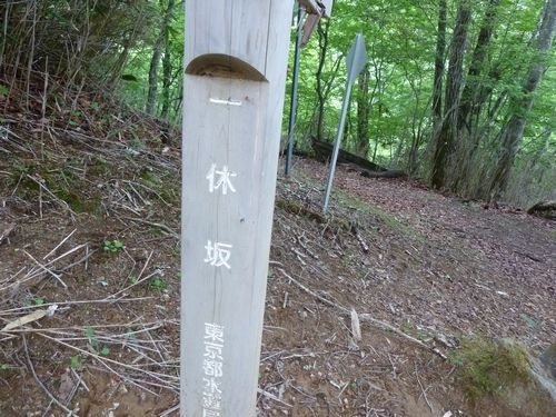 イメージ 8