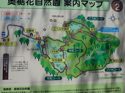 イメージ 4
