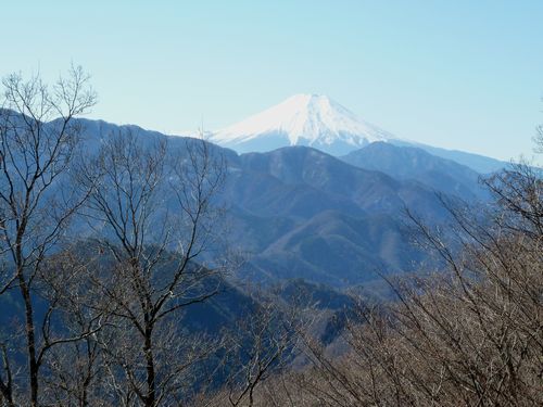 イメージ 13