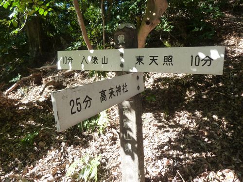イメージ 6
