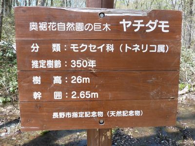 イメージ 8