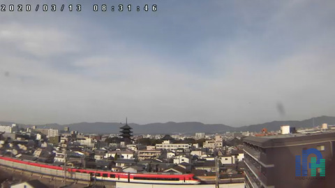 紙飛行機 ヤマネの森 Livedoor