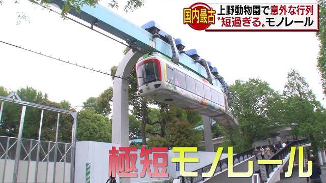 シャンシャンじゃない 上野動物園に意外な行列 Livedoor News ヤマネの森 Livedoor