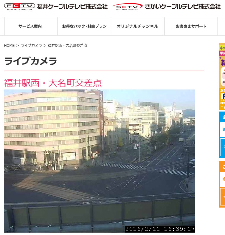 16年02月 ヤマネの森 Livedoor