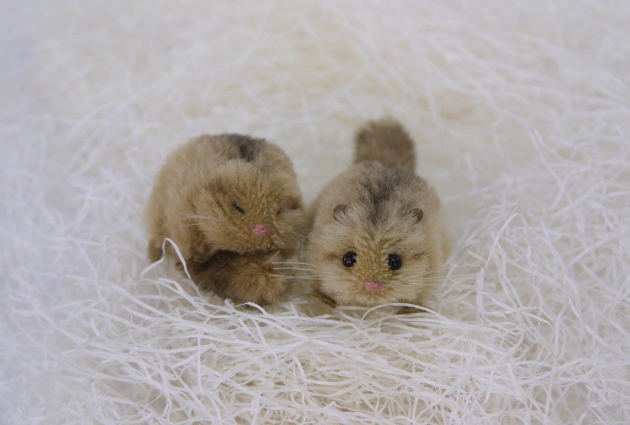 ヤマネのヌイ : ヤマネの森 Livedoor