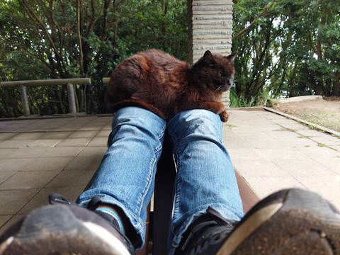 ジャック20220615_2