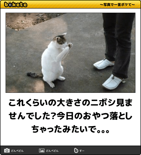 4e07366c6bc87e5647d11cd71f9ce105