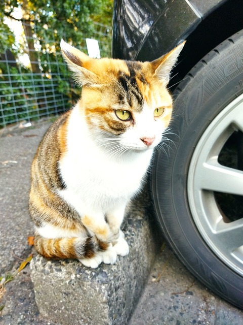 IMG_20211124_152128 (1)