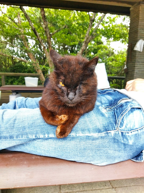 ジャック20220615_1