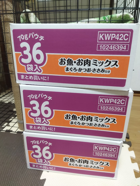 shien202201103_abenaomi