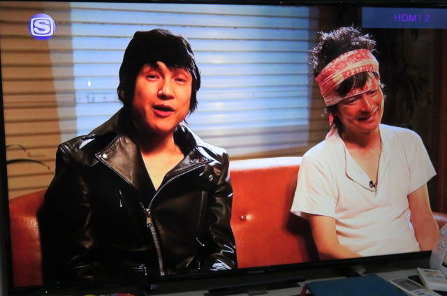 ブルーハーツ マーシー