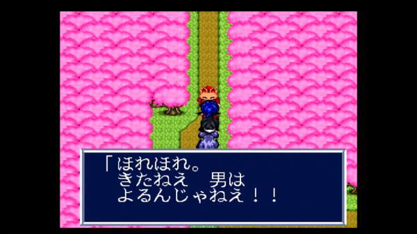 SFC】らんま1/2 朱猫団的秘宝 らんまのRPG！ 攻略 その7 桜の村