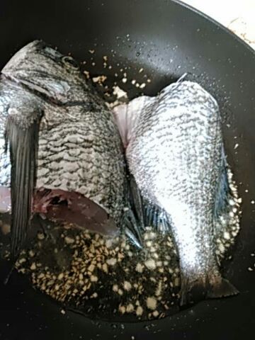 チヌ 黒鯛 のアクアパッツァー ブロッコリーが美味しいですよ トトズキッチン 父親である私がザックリ簡単に 適当に作ってます 家呑みが好きなおっさんです チヌ 黒鯛 のアクアパッツァー ブロッコリーが美味しいですよ トトズキッチン 父親である私がザックリ簡単に 適当に作ってます 家呑みが好きなおっさんです