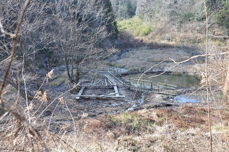 目覚まし時計 カエルのいる風景