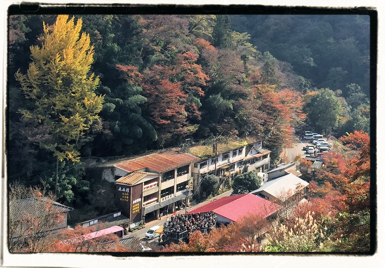 イメージ 10