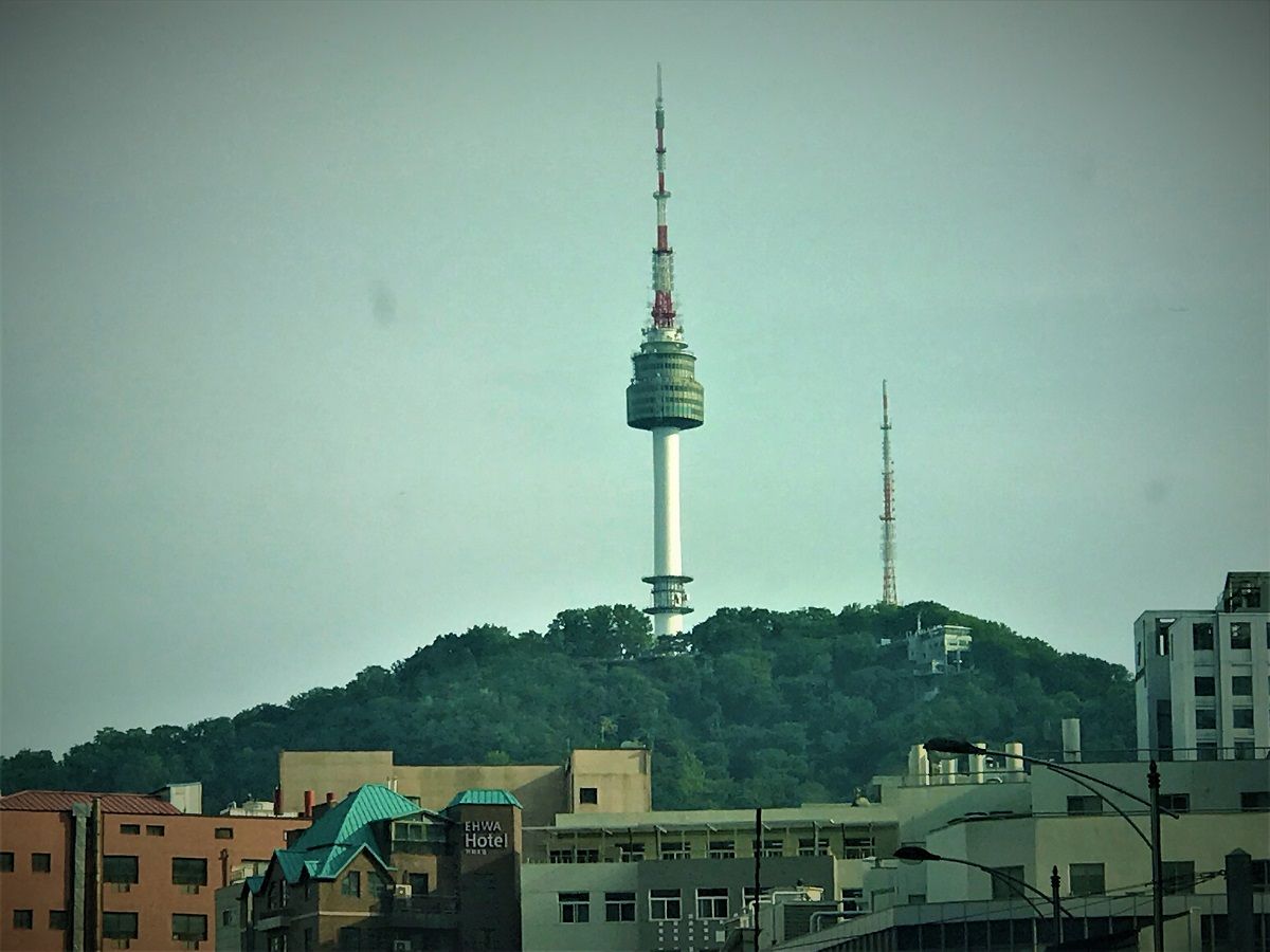 イメージ 7