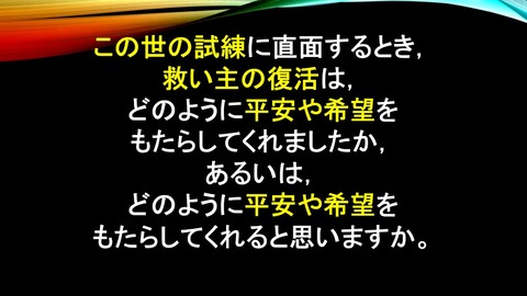 スクリーンショット (2703)