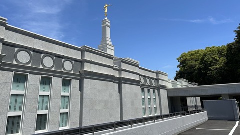 IMG_6519