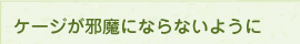 イメージ 7