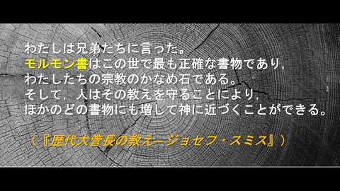 スクリーンショット (3313)