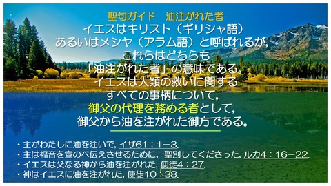 スクリーンショット (1651)