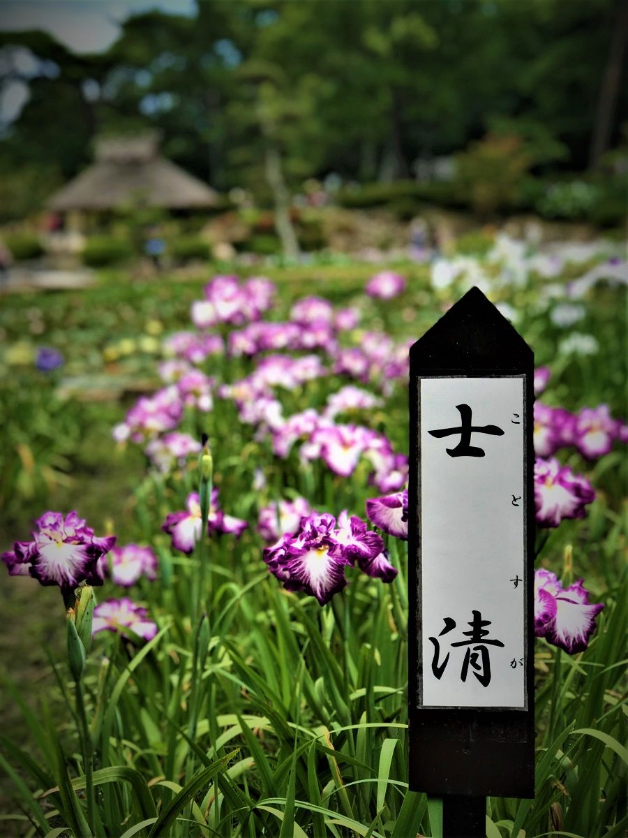イメージ 10
