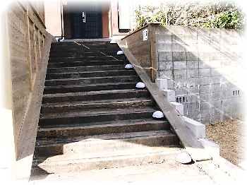 イメージ 7