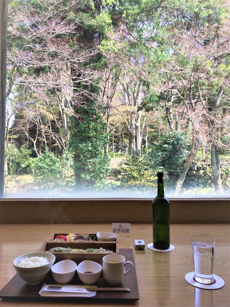 イメージ 9
