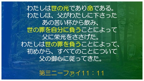 スクリーンショット (1664)