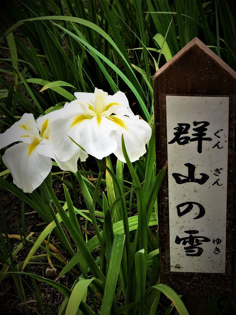 イメージ 9