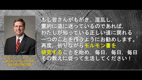 スクリーンショット (3325)