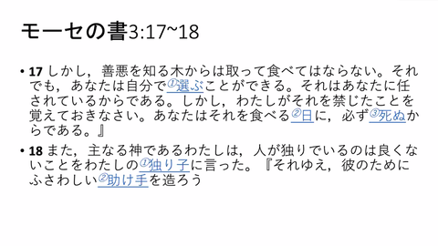 渡部19